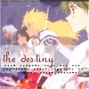 teamdestiny.png