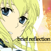 BriefReflection.png