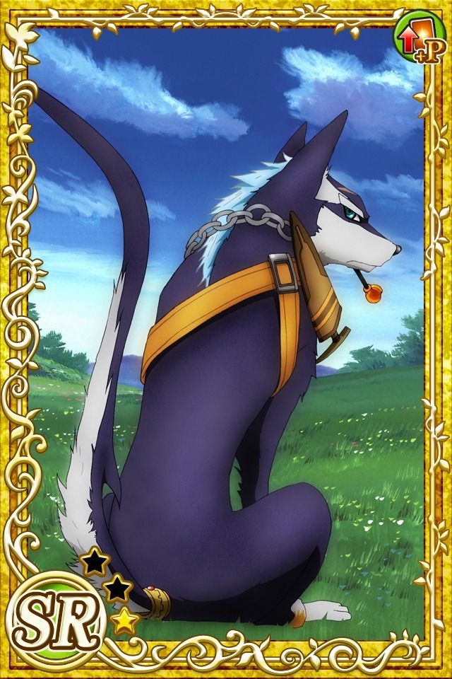 Repede (Tales of Vesperia)
Keywords: cardevolve vesperia repede SR1