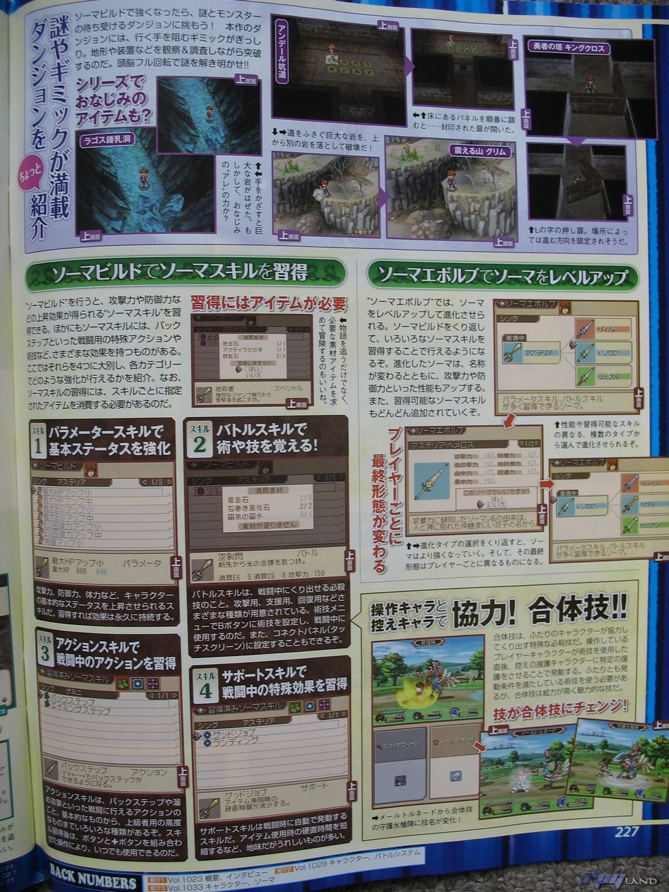 dsrpgscanstalesofheartssuikodentierkreisblazernightmarewind15.jpg