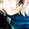 kav.png