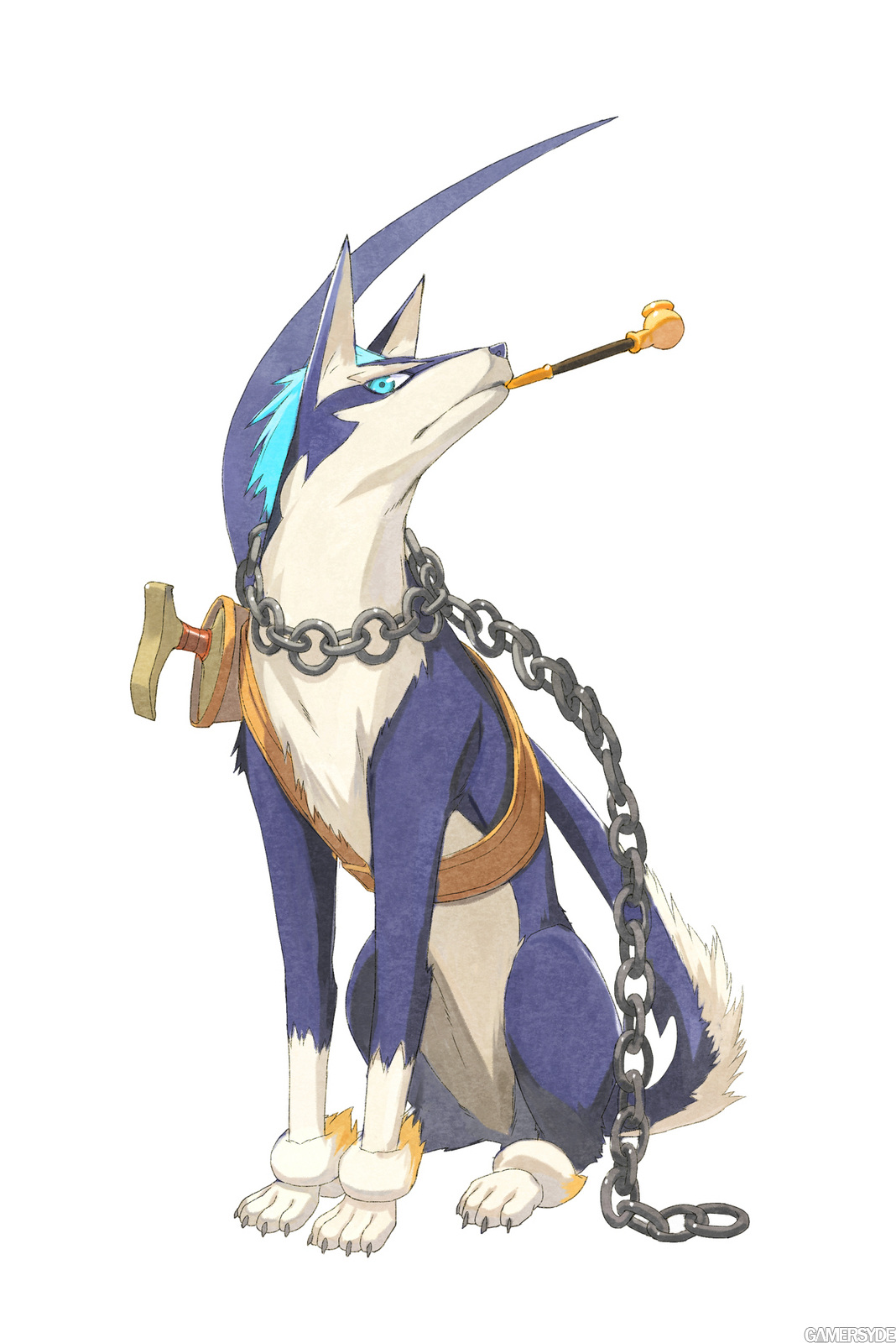 repede.jpg