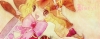Filename=Beryl.png
Filesize=81KiB
Dimensions=332x132
Date added=Aug 03, 2009 Beryl.png