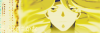 Filename=DHAOS.png
Filesize=58KiB
Dimensions=375x125
Date added=Aug 03, 2009 DHAOS.png