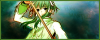 Filename=FonMaster.png
Filesize=155KiB
Dimensions=450x180
Date added=Sep 02, 2009 FonMaster.png
