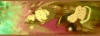abi2s2.png