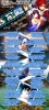 Filename=ailyrics.jpg
Filesize=543KiB
Dimensions=500x1091
Date added=Sep 01, 2009 ailyrics.jpg