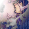 Filename=avi2kl2.png
Filesize=19KiB
Dimensions=100x100
Date added=Sep 02, 2009 avi2kl2.png