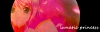 Filename=estellesig26ver2.png
Filesize=58KiB
Dimensions=400x130
Date added=Sep 02, 2009 estellesig26ver2.png