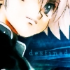 kav.png