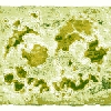 Filename=scr02~3.gif
Filesize=22KiB
Dimensions=150x150
Date added=Aug 02, 2007 scr02~3.gif