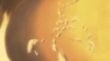 Filename=vlcsnap-182563.png
Filesize=250KiB
Dimensions=768x432
Date added=Aug 11, 2007 vlcsnap-182563.png