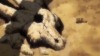 Filename=vlcsnap-182692.png
Filesize=470KiB
Dimensions=768x432
Date added=Aug 11, 2007 vlcsnap-182692.png