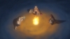 Filename=vlcsnap-183482.png
Filesize=205KiB
Dimensions=768x432
Date added=Aug 11, 2007 vlcsnap-183482.png