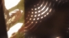 Filename=vlcsnap-186677.png
Filesize=346KiB
Dimensions=768x432
Date added=Aug 17, 2007 vlcsnap-186677.png
